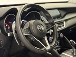 Alfa Romeo Stelvio EXECUTIVE 4WD miniatura 20