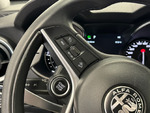 Alfa Romeo Stelvio EXECUTIVE 4WD miniatura 23