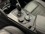 Alfa Romeo Stelvio EXECUTIVE 4WD miniatura 27