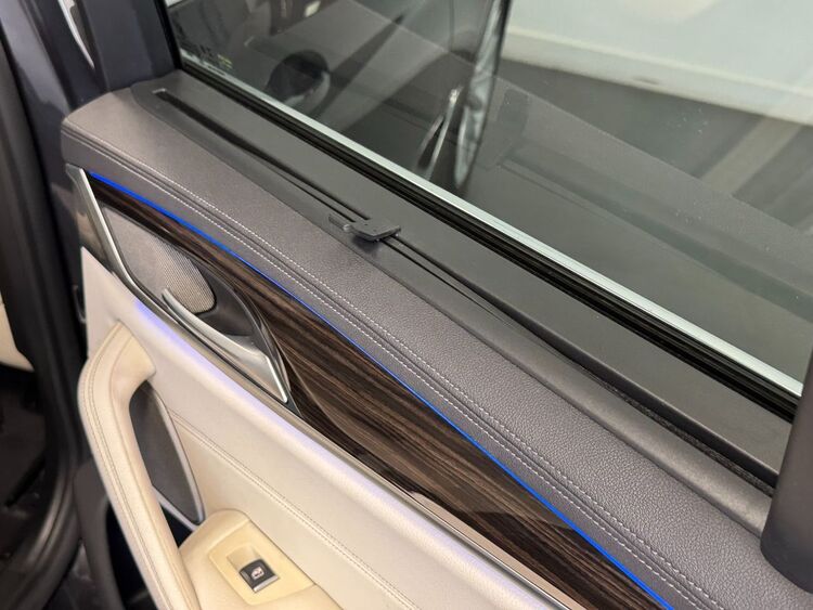 BMW Serie 5 LUXURY LINE foto 38