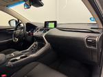 Lexus NX 300H BUSINESS miniatura 13