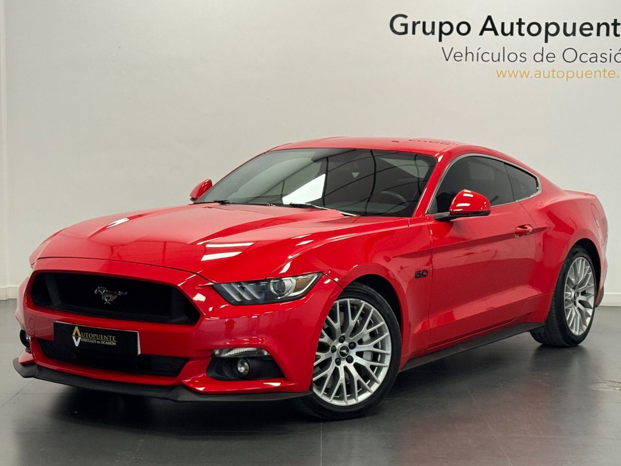 Ford Mustang GT foto 7