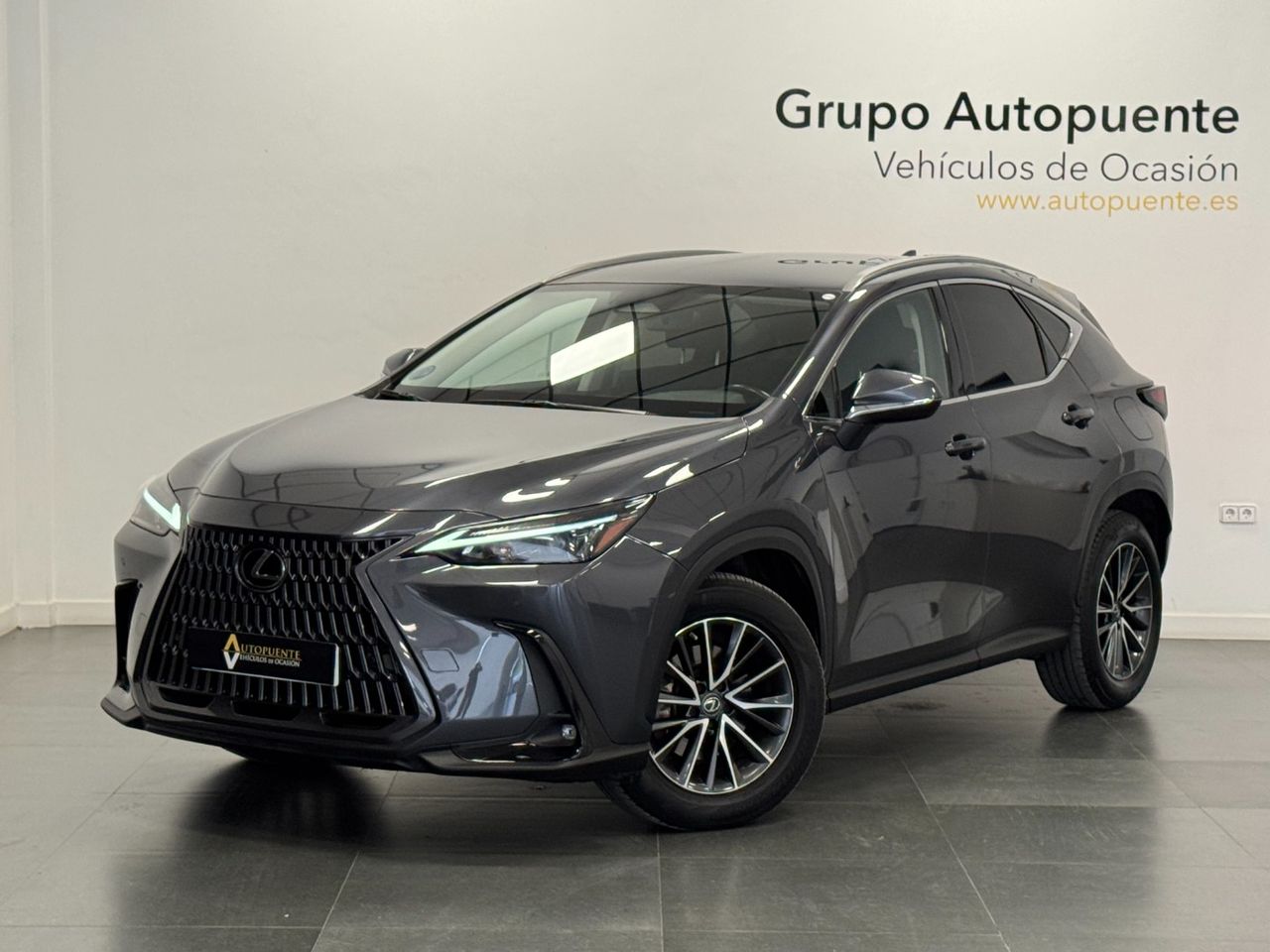 Lexus NX 350H BUSINESS CITY miniatura 7