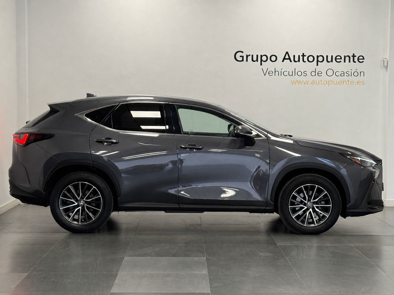 Lexus NX 350H BUSINESS CITY foto 3