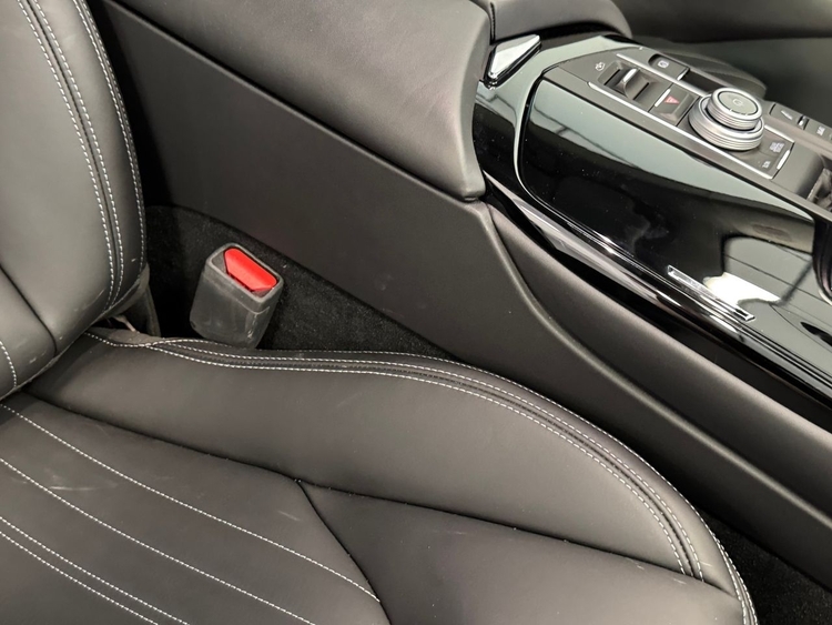Maserati Levante LEVANTE GRANLUSSO 3.0 V6 foto 41