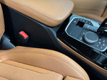 BMW X4 xline xdrive 20d miniatura 43