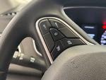 Renault Megane BUSINESS BLUE DCI miniatura 19