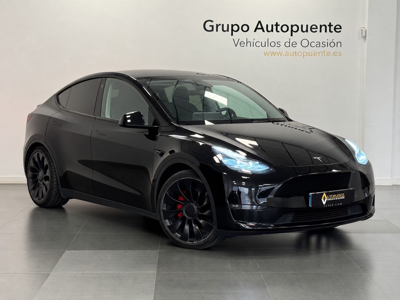 Tesla Model Y PERFORMANCE 4WD miniatura 2