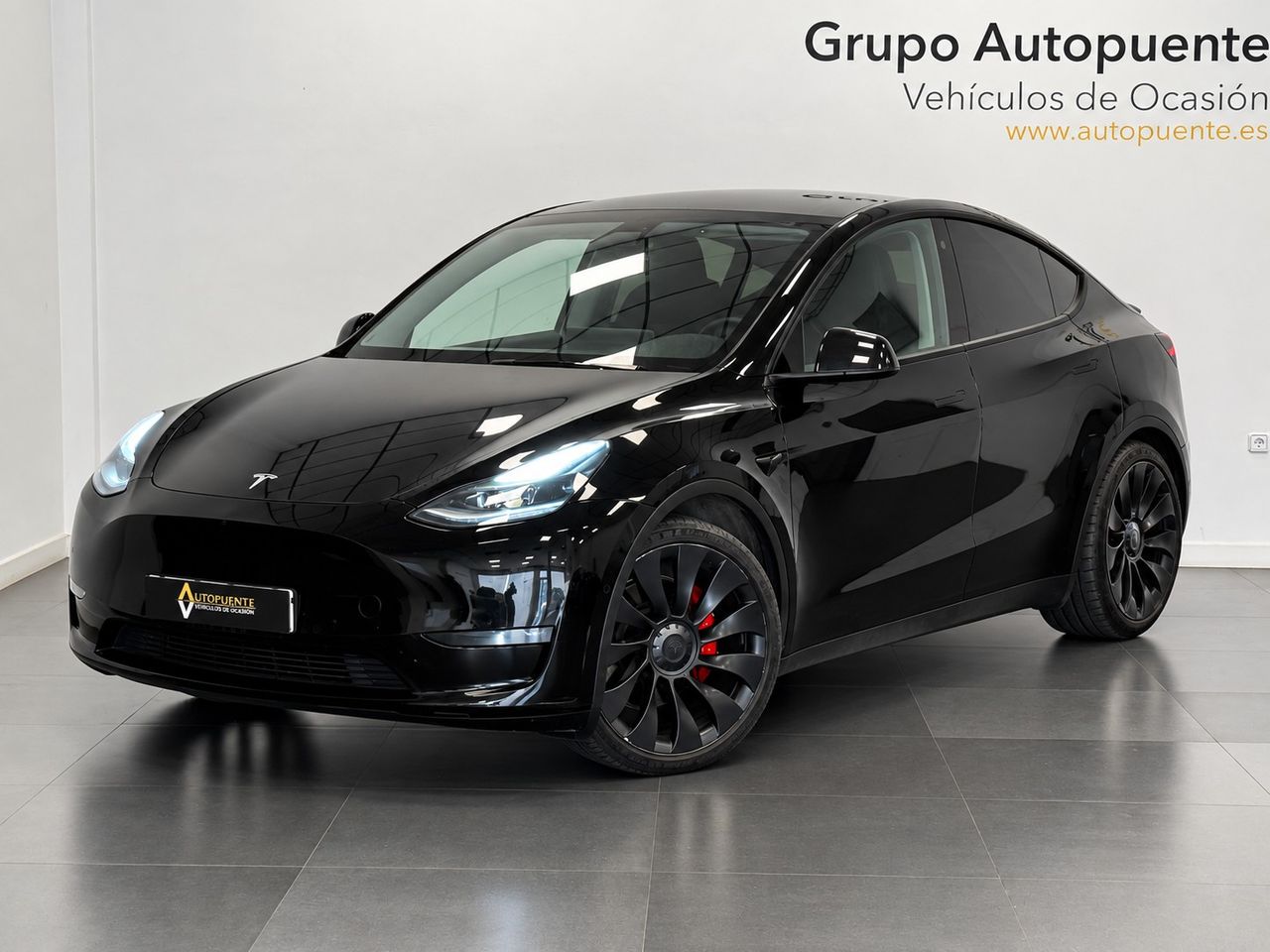 Tesla Model Y PERFORMANCE 4WD foto 7