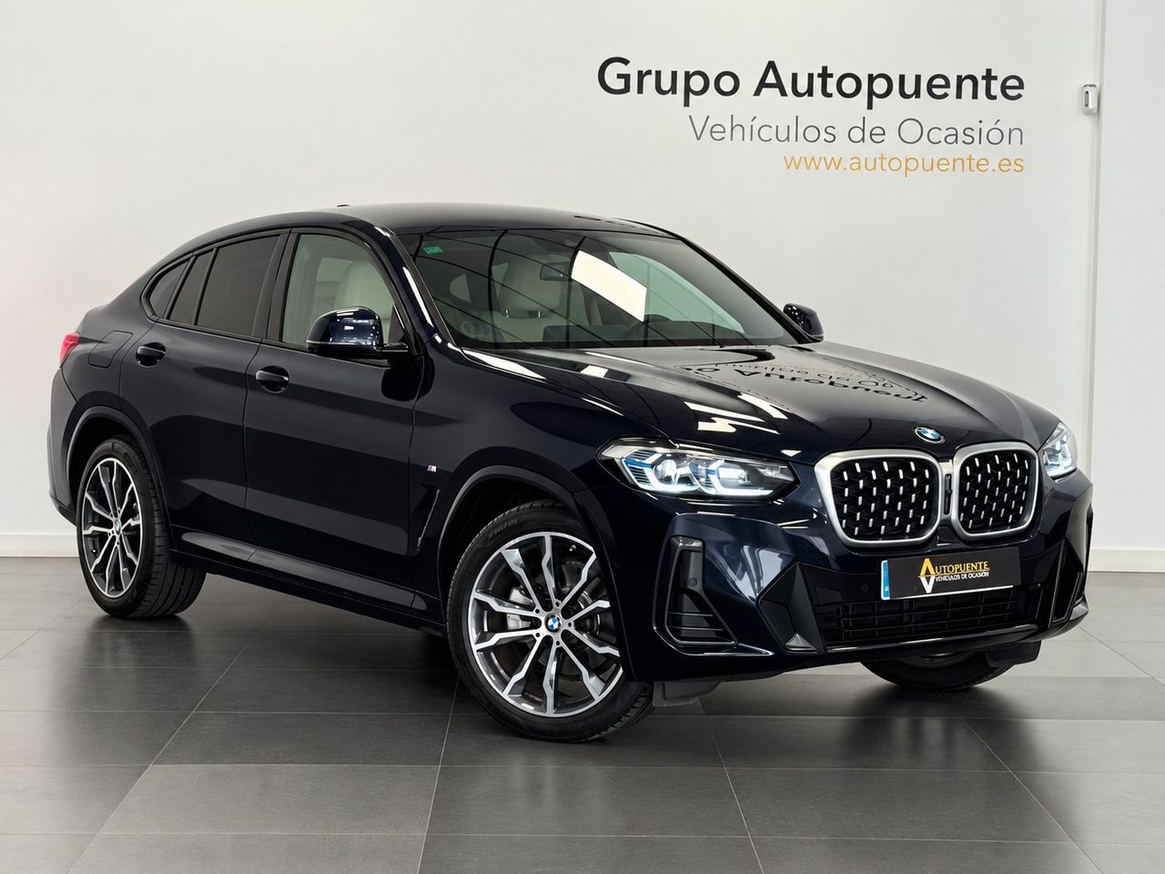BMW X4 XLINE  foto 2